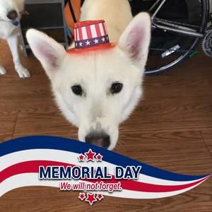 Meet your Posher, Matt